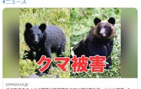 【（・(ｪ)・）】犬の散歩中の４０代男性が自宅前でクマに頭や腕を引っかかれ搬送…２頭に遭遇、親グマに襲われたか　岩手県八幡平市