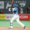 日ハム・アルカンタラはもう当たり認定してええか？