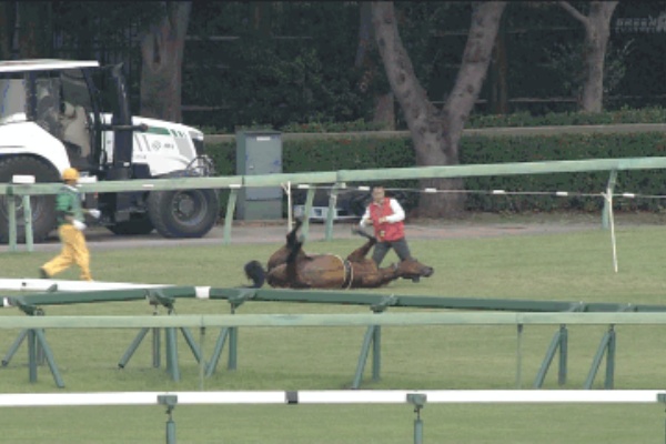 ギャンブル女子の暇つぶしまとめ 17年09月