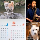 8月のライブスケジュール