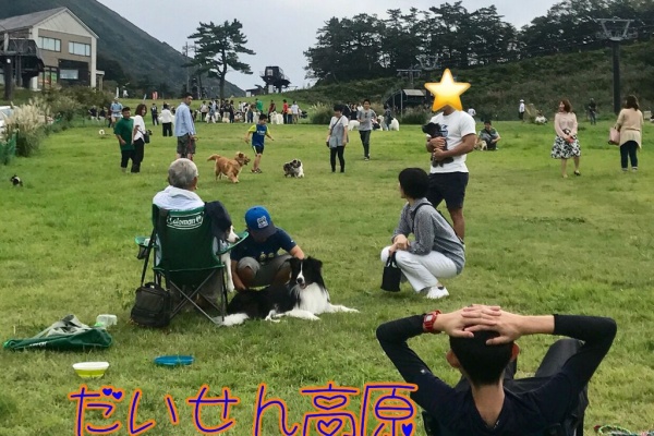 ボーダーコリーなlife 豪円山無料ドッグラン