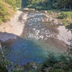 つり吉オヤジの日高川龍神鮎・あまご情報