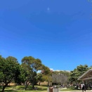 朝から晴天ーー！