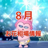 『８月お花相場情報』の画像