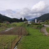 『岐阜県本巣市根尾谷』の画像