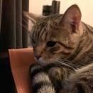秋の夜長