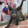 こんにちは♪