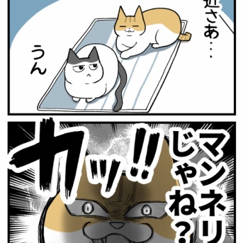 【エッセイ漫画】真夜中の猫会議とその裏側