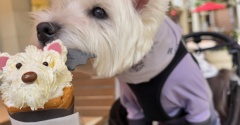 gelato piqueのハロウィンクレープ