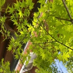 （株）ナレッジフロー開発者ブログ