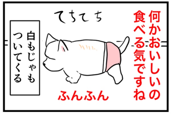 ちーちゃんっ🐾 - ちーちゃんでけどもっ