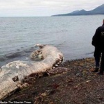 【画像】ロシアに謎の巨大生物の死骸が打ち上げられる！氷漬けにされていたマンモス説も。
