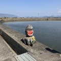 33日目　2025年４月6日（日）晴れ