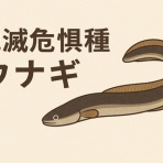  釣果で証明する釣りの理論 ── 私が思うところ。