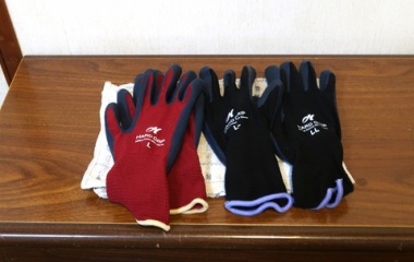 『景色秋色に変わり汚庭改造計画本格始動！』の画像