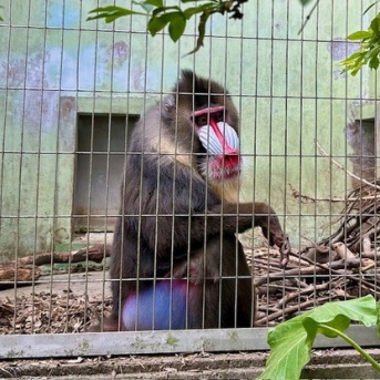 カイエファミリー接待中５「こどもの国というソフトな名前に油断した」