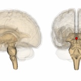 簡単に仮眠できる方法を教える