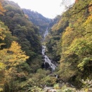 🐻 まだトラウマがある