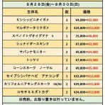 爬虫類倶楽部