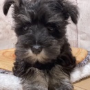 新入生のご紹介！