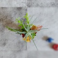 「男前」な雰囲気で楽しむ「多肉の寄せ植え」　今月の作品たち