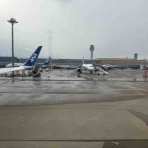 はくえいのおへや