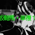 (日)◎鉄板軸馬