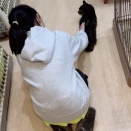 最近のカイちゃん
