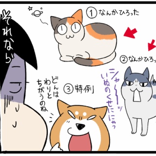 柴犬どんぐり三毛猫たんぽぽ