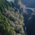 九州で一番賑わってないド田舎の県って宮崎なん？