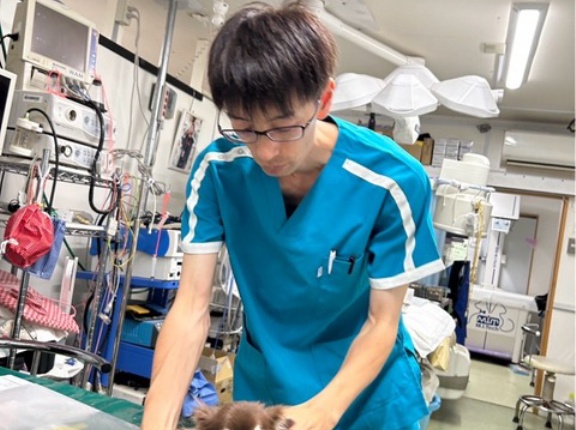 高温多湿のシェルター地方、、、💦
