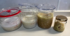 麹沼にハマった主婦が３種類の麹を一気仕込み！塩麹・にんにく麹・中華麹の作り方
