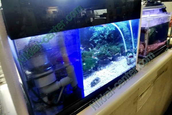 日海センター】アクリル水槽 かんたん槽NK