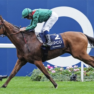 ☆うまなみ・競馬にゅーす速報