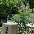 水滴に濡れながらお墓横の掃除ができました