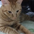 私の結婚披露宴に、体が弱い母が出席してくれた。新郎友人「お前の母親、いけてるな。一晩貸してよ。病気とか気にしないし」友人達・新郎「ｗｗｗ」義両親までニヤついていて・・・