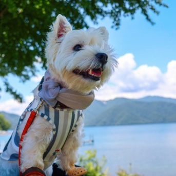 2026年度　ウエスティカレンダー
