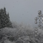 フォト短歌游々日記