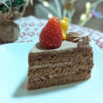 ねことアパートと1人暮らし～とらやんとおらと～