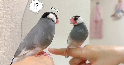 あれは誰！？