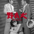 野良犬