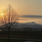 アナベルにかこまれて