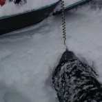 ガイサンの遊びだス！