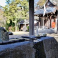 松井神社と臥龍梅