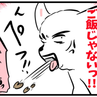 ちーちゃんっ🐾