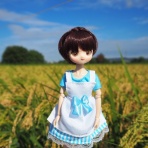 フィギュアとＤｏｌｌの狭間で