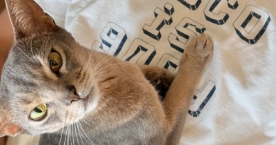 パパにベッタリなわか坊と、NYのおみやげ
