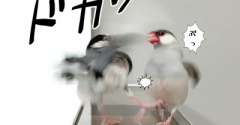 被害者の心の叫び