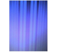 各業界頑張るのじゃ〜！