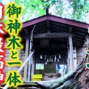 3年前の訪れた神社…驚きの変化が！